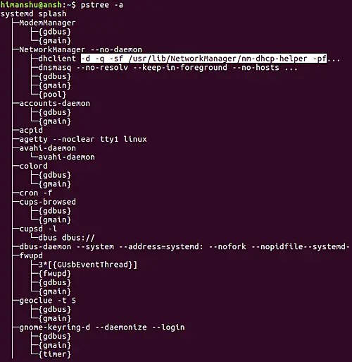 Linux pstree Command Tutorial for Beginners (8 Examples)