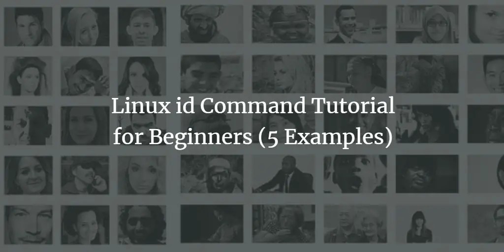 Linux id Command Tutorial for Beginners (5 Examples)