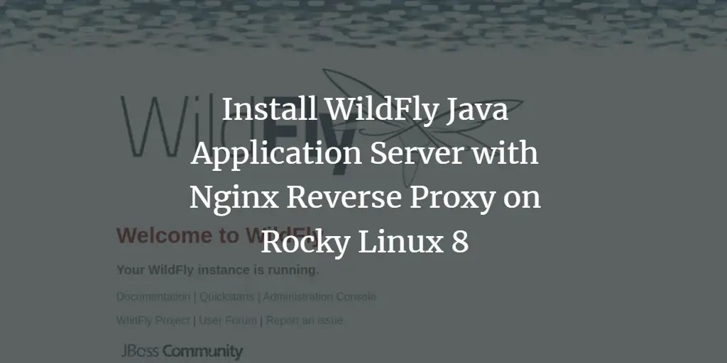 Install WildFly Java Application Server with Nginx Reverse Proxy on