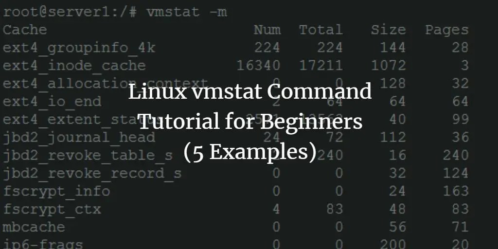 Linux vmstat Command Tutorial for Beginners (5 Examples)