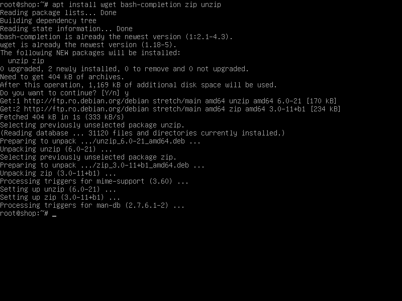 How to Install on Debian 9