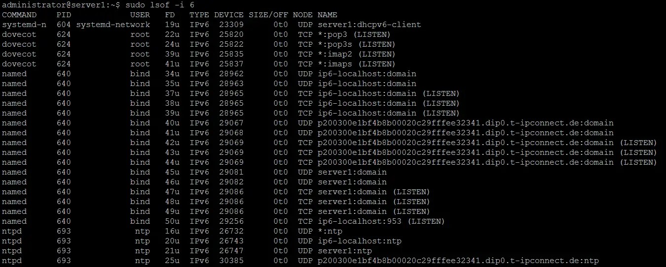 Linux lsof Command Tutorial for Beginners (15 Examples)