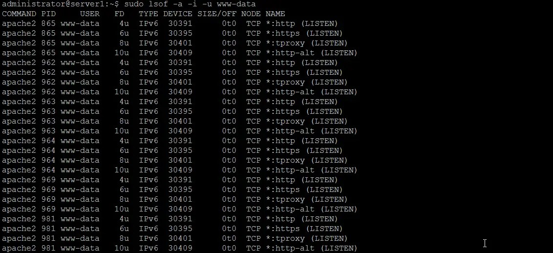 Linux lsof Command Tutorial for Beginners (15 Examples)