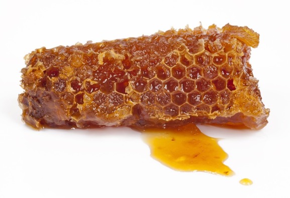 Know How is Honey Made and Why Do Bees Make Honey