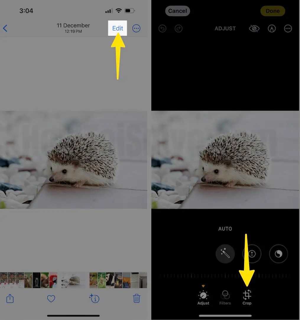 How to Crop Photos on iPhone 15, 14 Using Photos App in 2 Ways