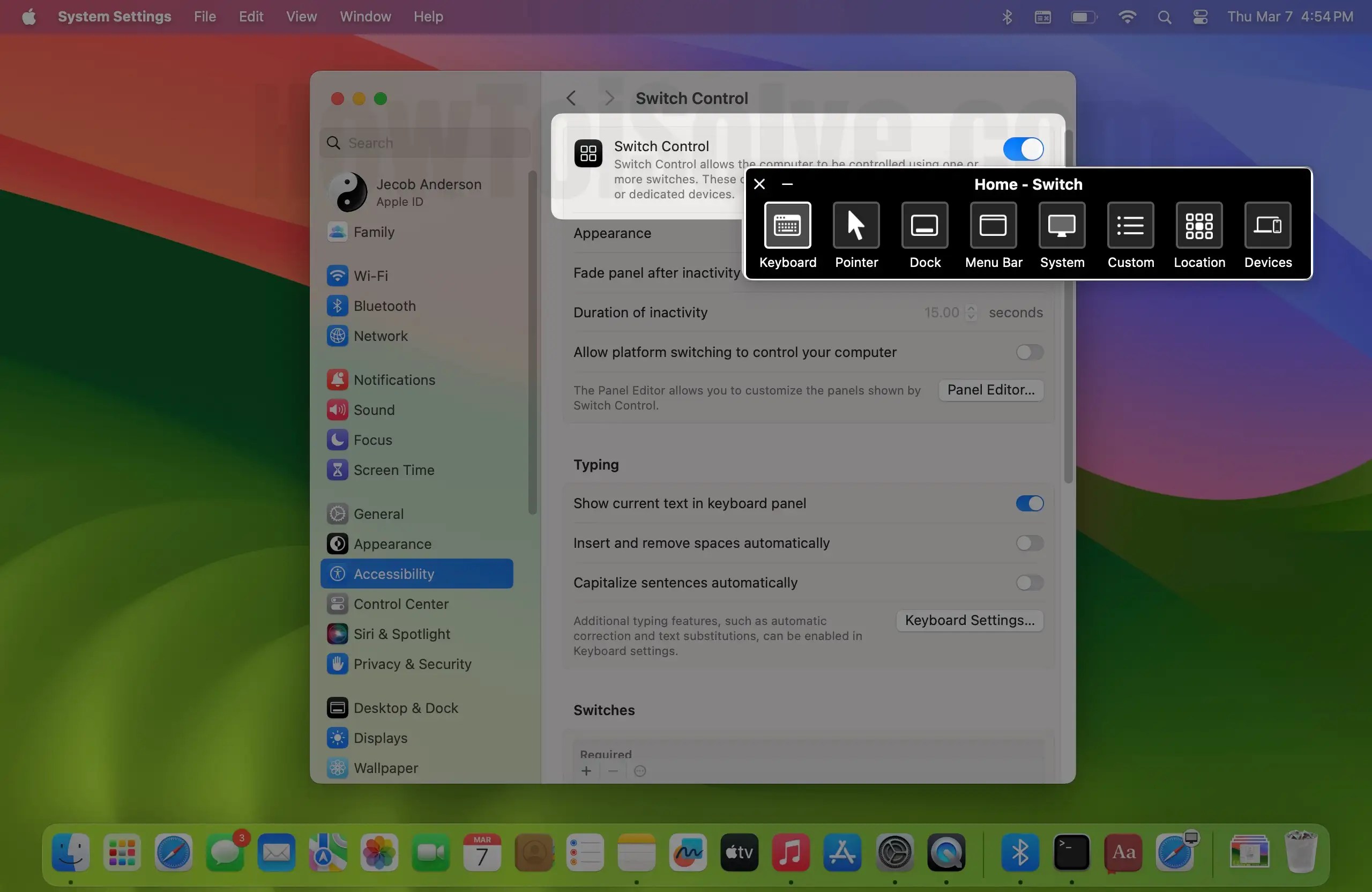 How to Turn On Switch Control on iPhone 15, 14