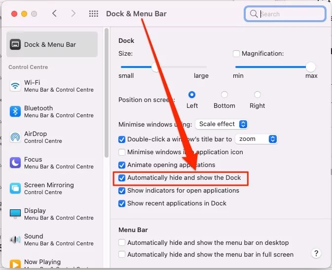 How to Customize Dock on Mac To Hide, Change Dock Size (Sonoma)