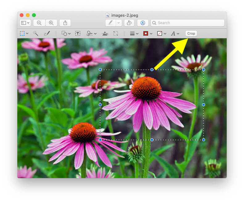 How to crop photos using preview on mac ploradoctor