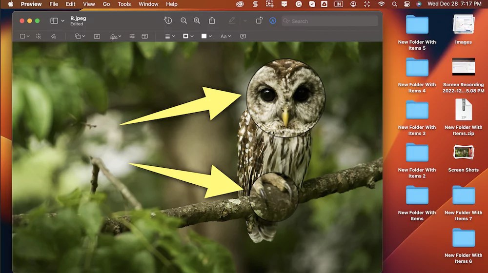 How to Use Magnifying Glass in Preview to Zoom Into Image Detail on Mac