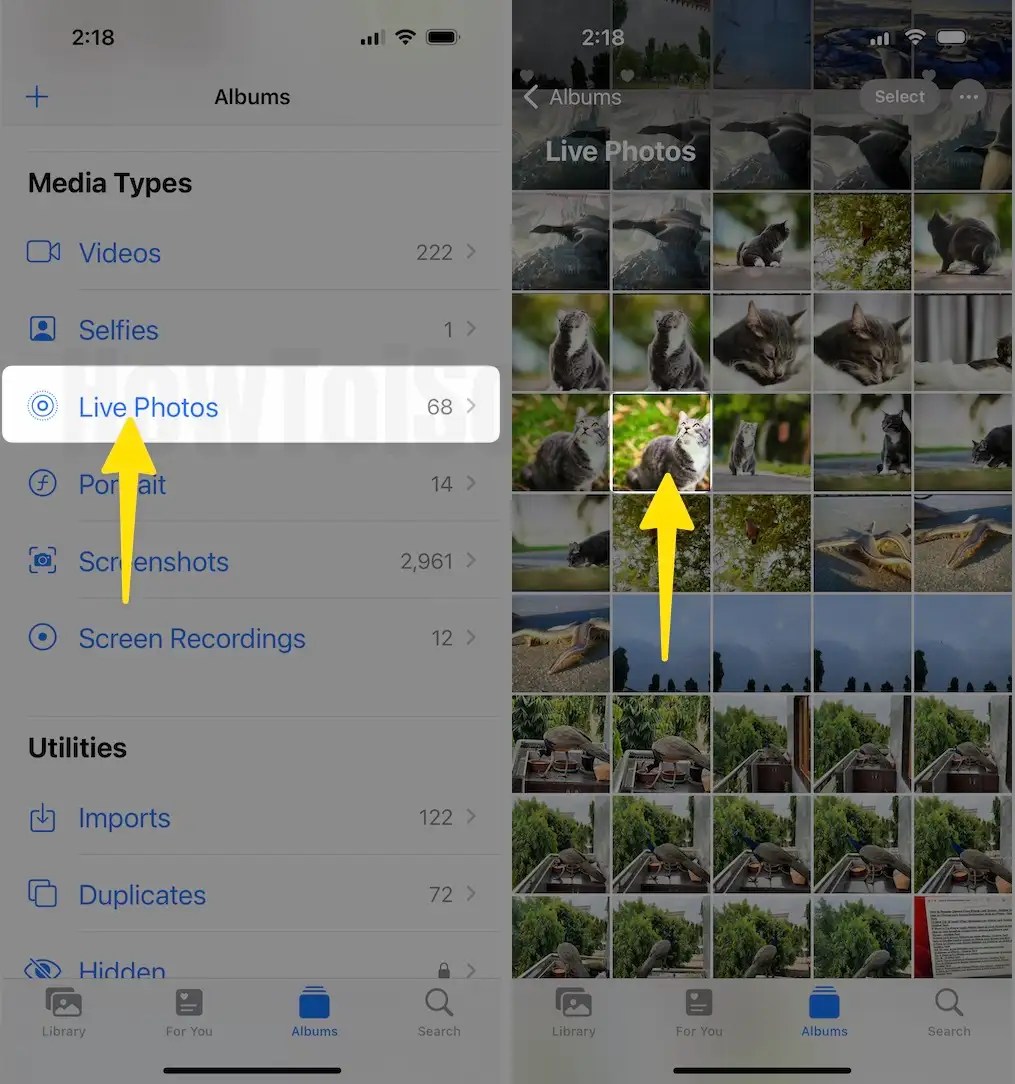 How to Post a Live Photo on Facebook from iPhone (2024)