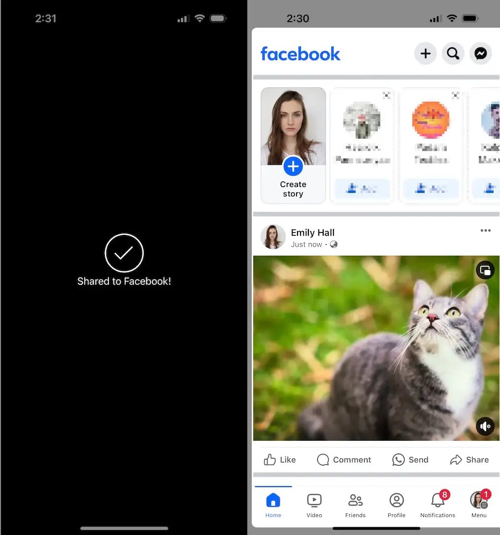How to Post a Live Photo on Facebook from iPhone (2024)