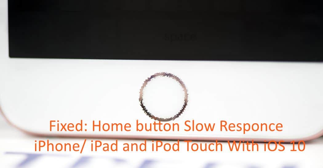 Fix iPad/iPhone Home Button Slow/Lag to Respond after iOS 15 update