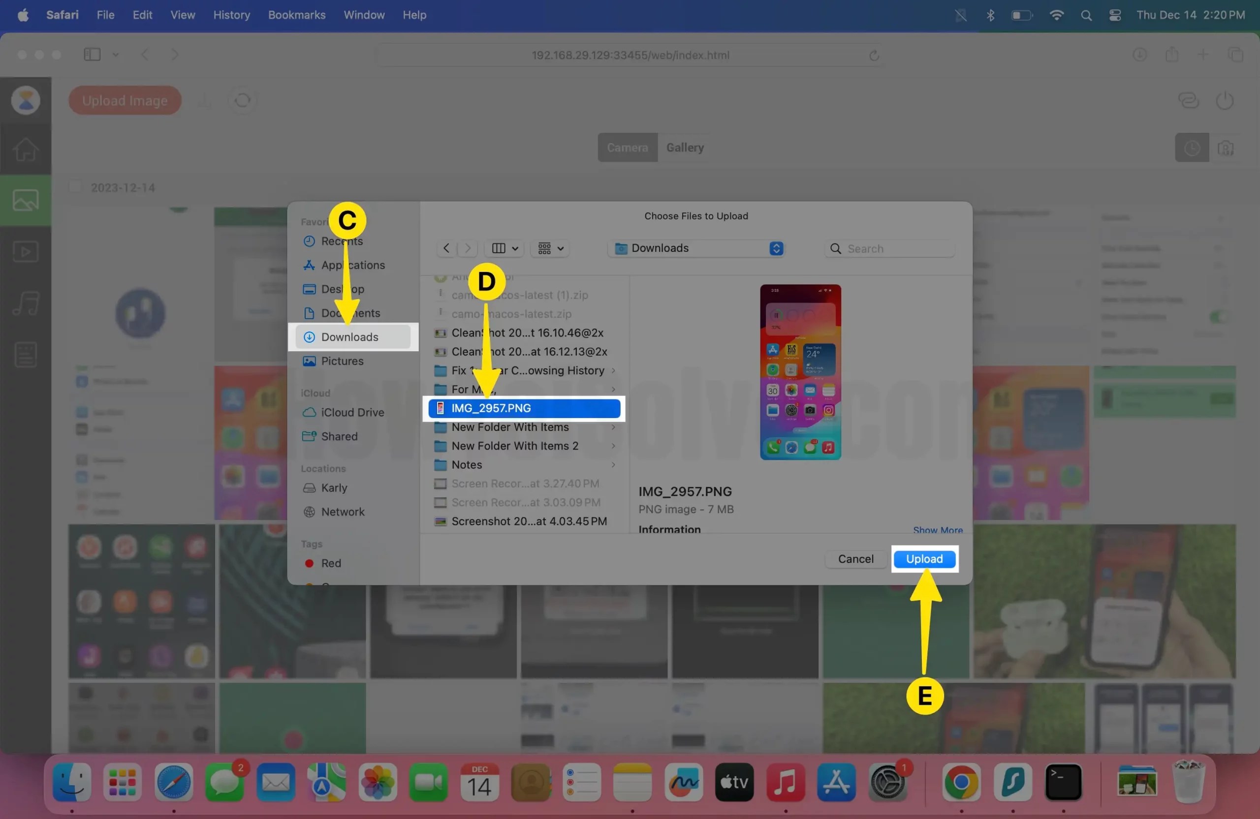 How to use Xender on iPhone, Android, Mac, PC (2024)