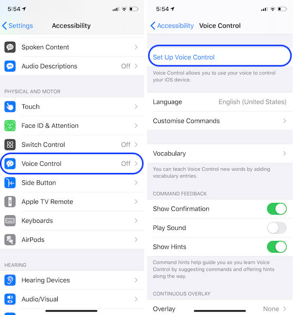 How to Turn On/Turn Off Voice Control on iPhone, iPad, iPod, MacBook