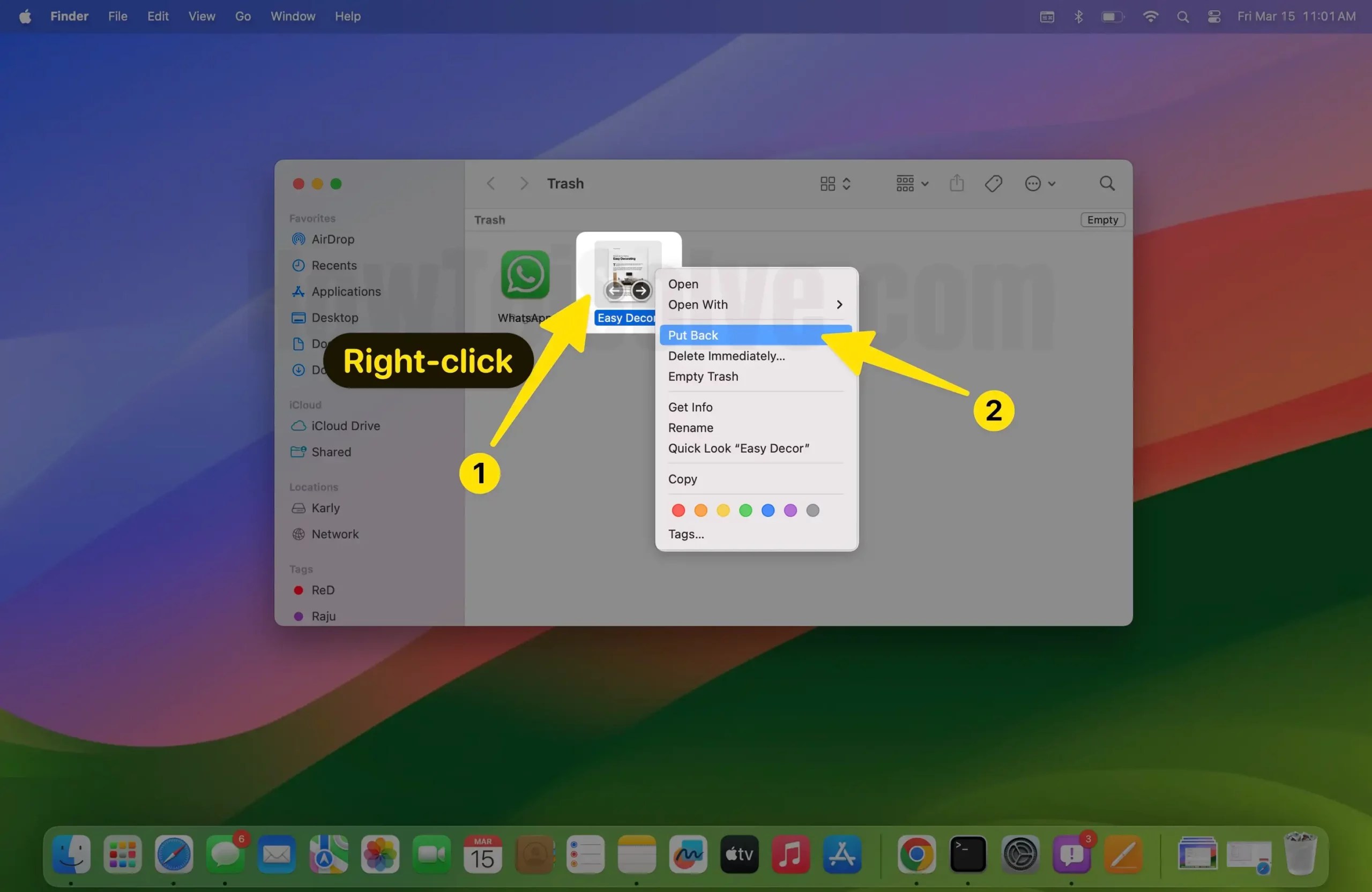 Fix Pages Quit Unexpectedly on Mac Sonoma