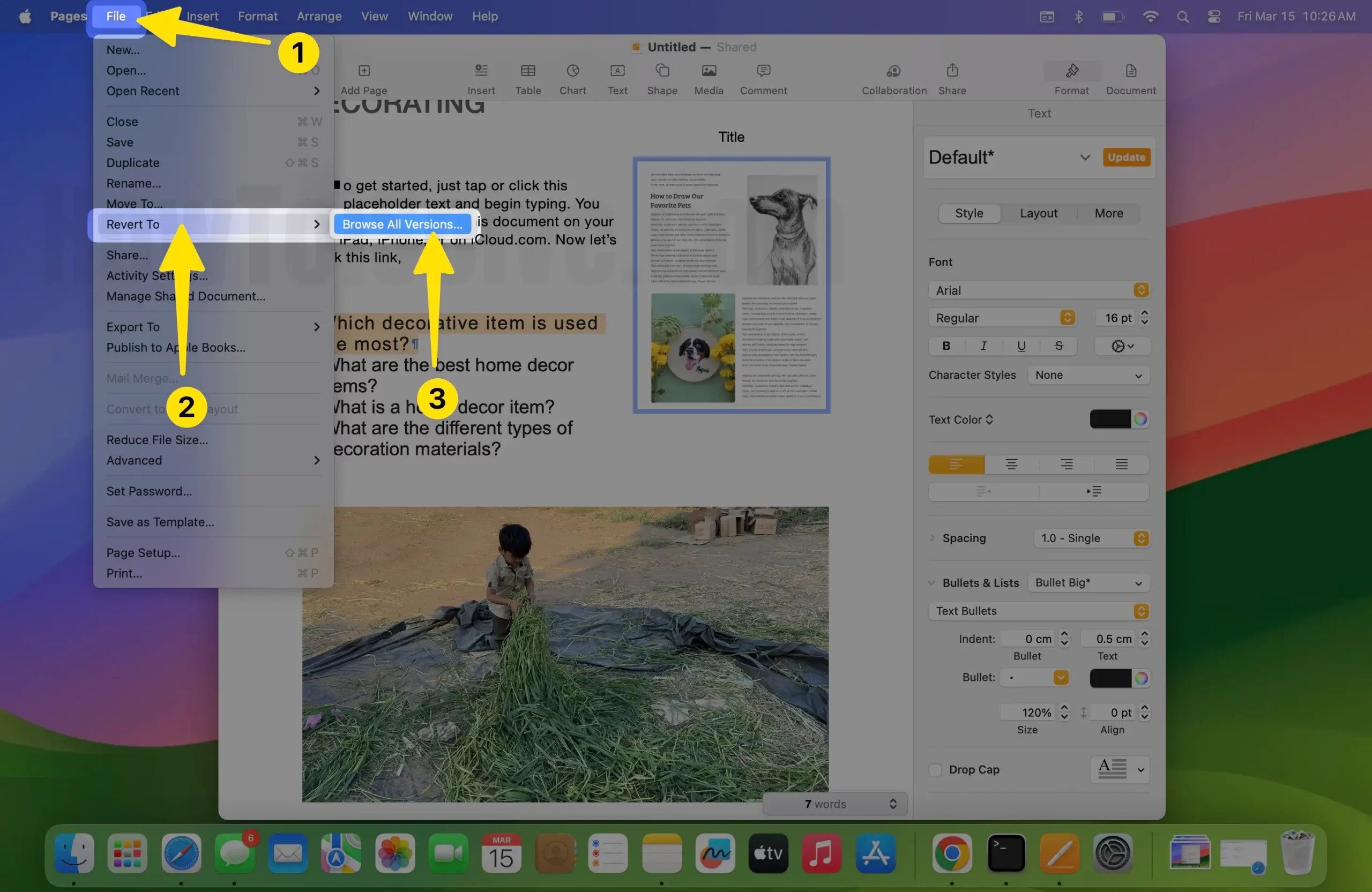Fix Pages Quit Unexpectedly on Mac Sonoma