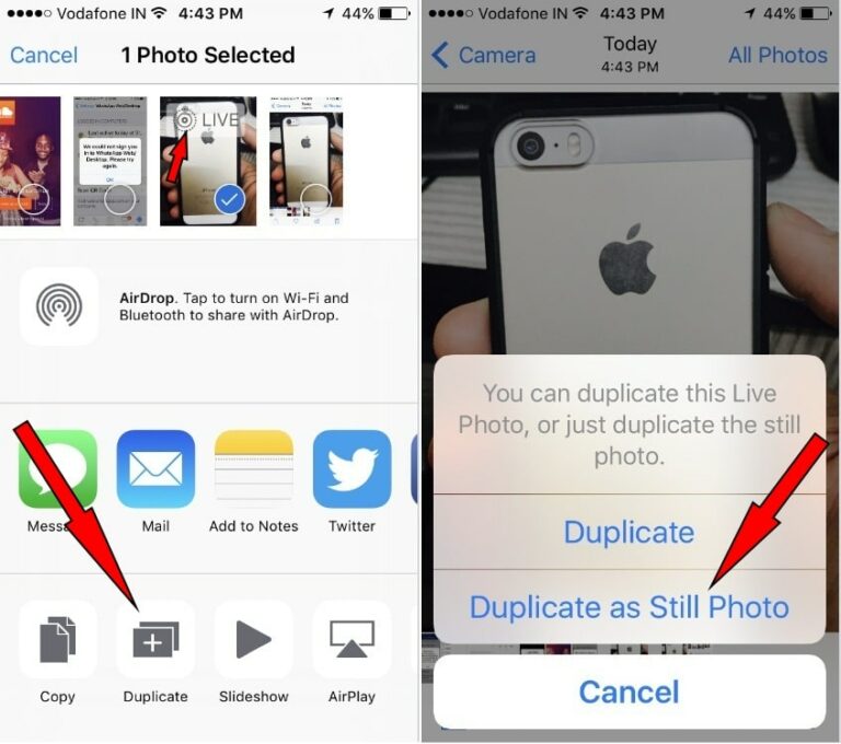 iOS 16.3.1 How to Extract Still Frame from a Live Photos iPhone in 2023