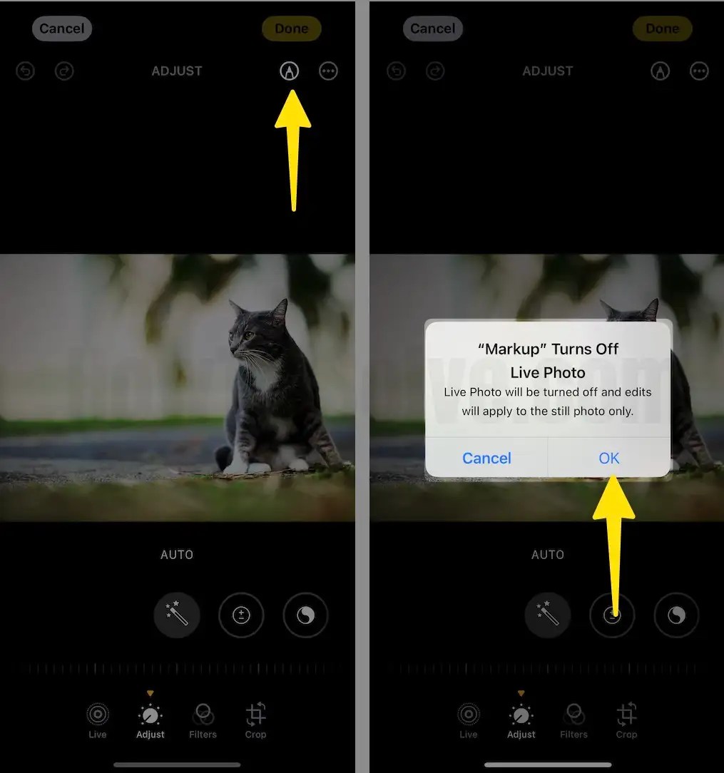 Live Photo on iPhone, iPad (Change Key Frame, Effect, Undo...)