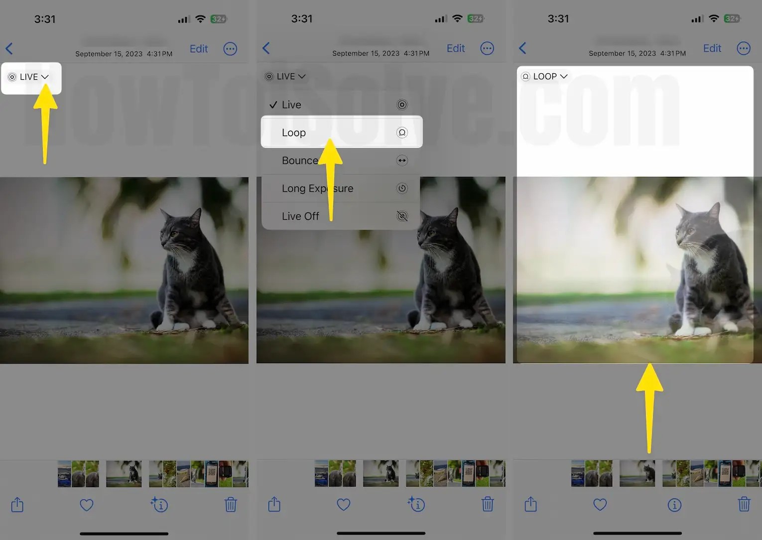 Live Photo on iPhone, iPad (Change Key Frame, Effect, Undo...)