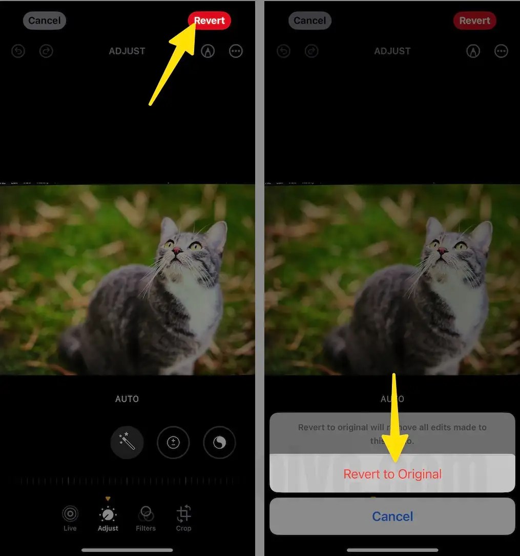 Live Photo on iPhone, iPad (Change Key Frame, Effect, Undo...)