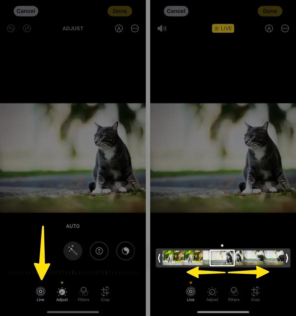 Live Photo on iPhone, iPad (Change Key Frame, Effect, Undo...)