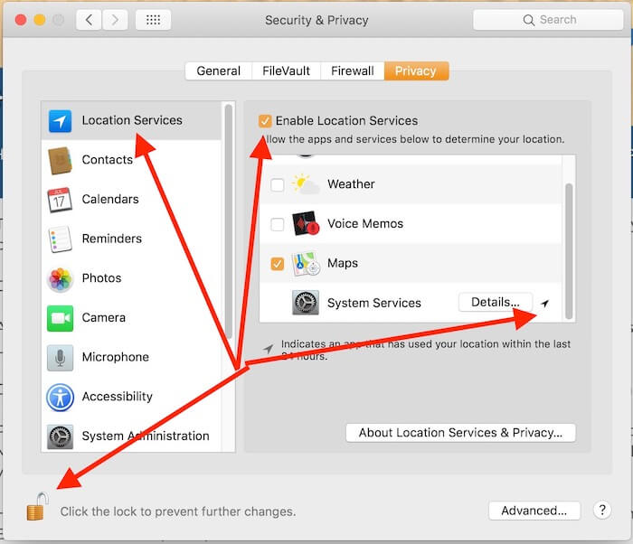 Dynamic Wallpaper Not Working Mac Monterey/ Big Sur? Try These Fixes Dynamic Wallpaper Not Working Mac Monterey/ Big Sur? Try These Fixes