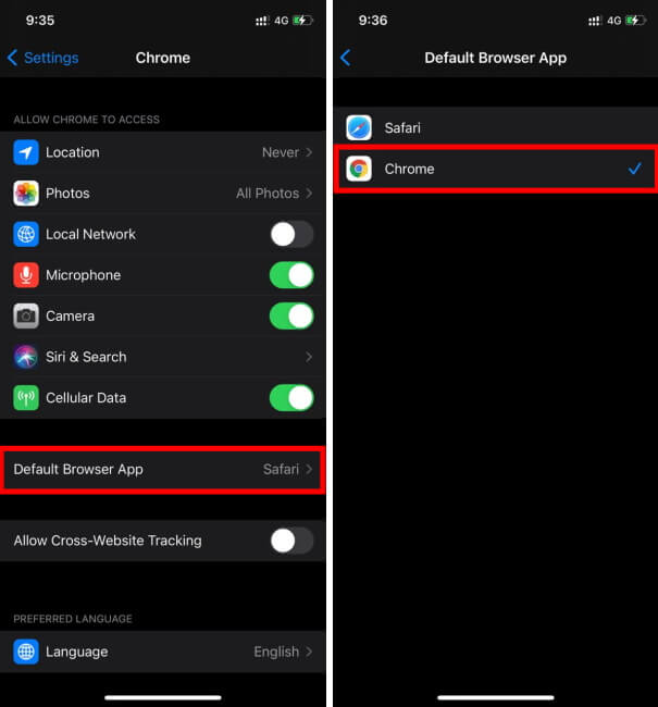 How do I change the Default Browser on my iPhone, iPad?