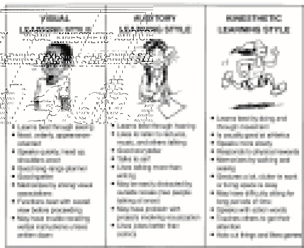 Visual Learner Examples