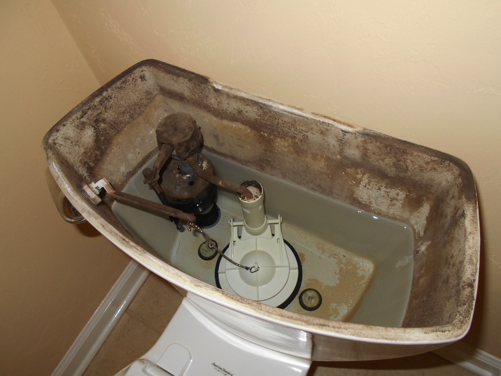 Toilet tank water should be safe to drink · Issue 30520 · CleverRaven