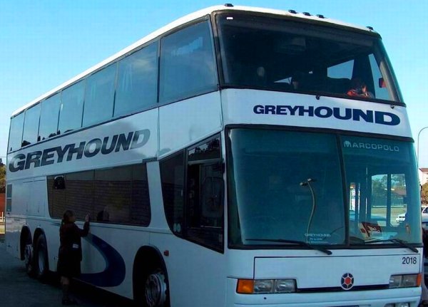 Greyhound Shipping An Economical Way to Ship Big and Heavy Items How