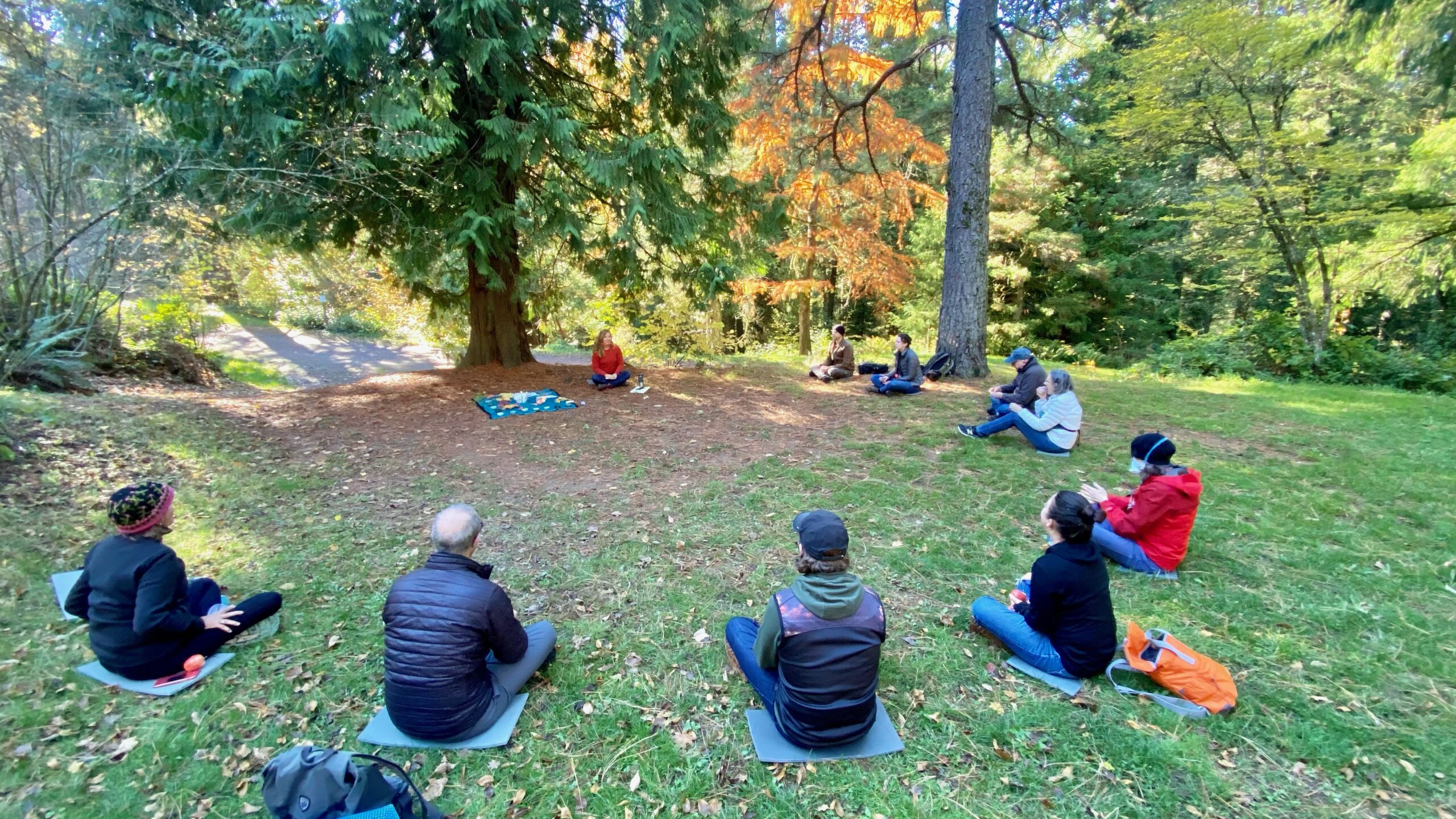 Forest Bathing Hoyt Arboretum
