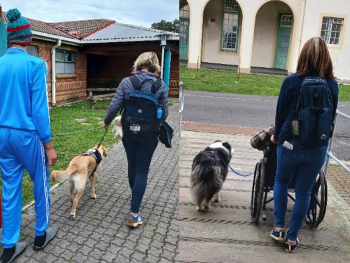 OT’s Making it Happen at Alexandra Hospital with Dog Therapy