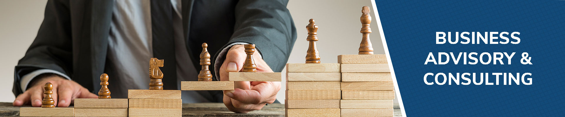 Business Advisory & Consulting Services HSAG India