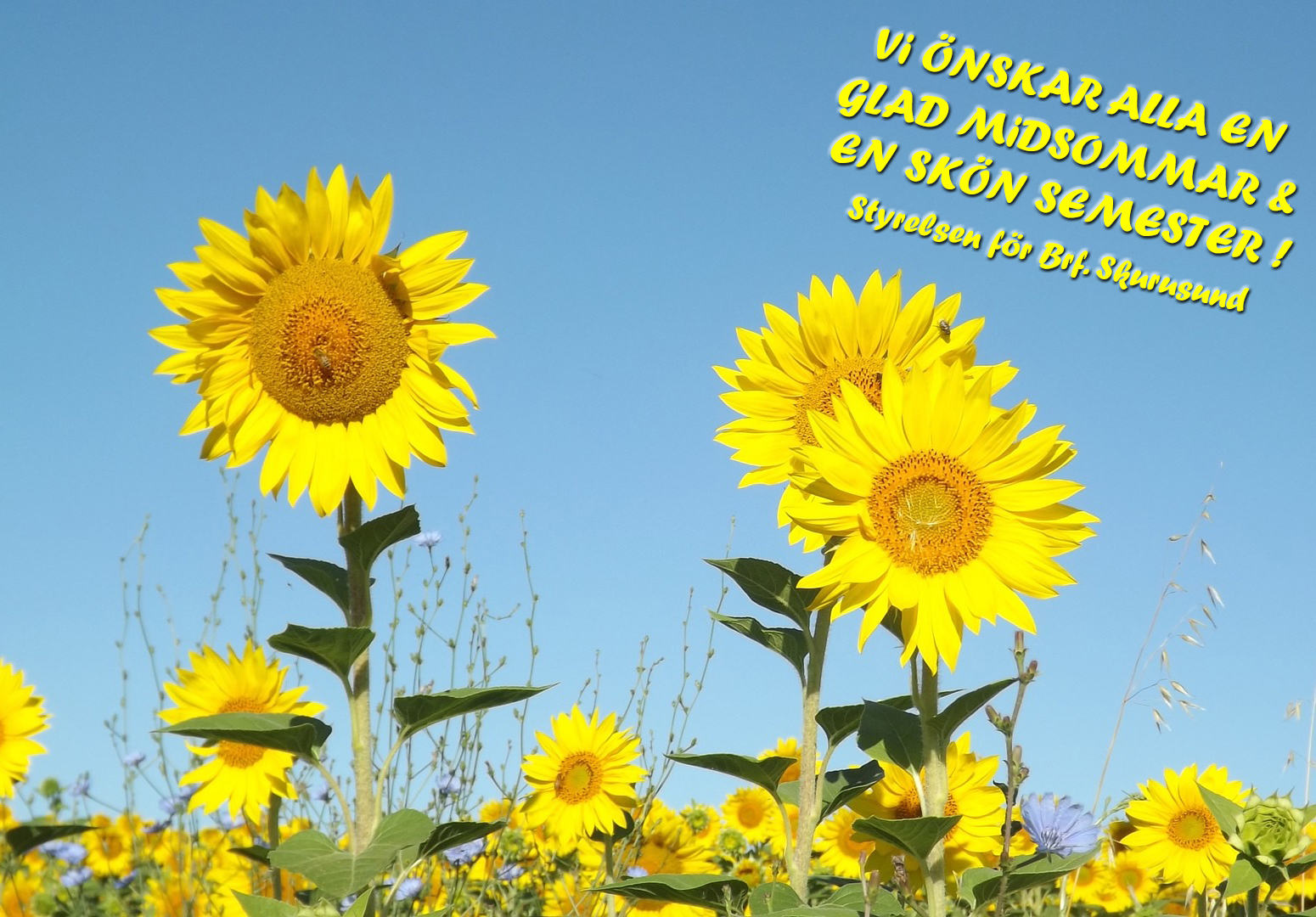 Dubbeltäcke Sommar Sommar!