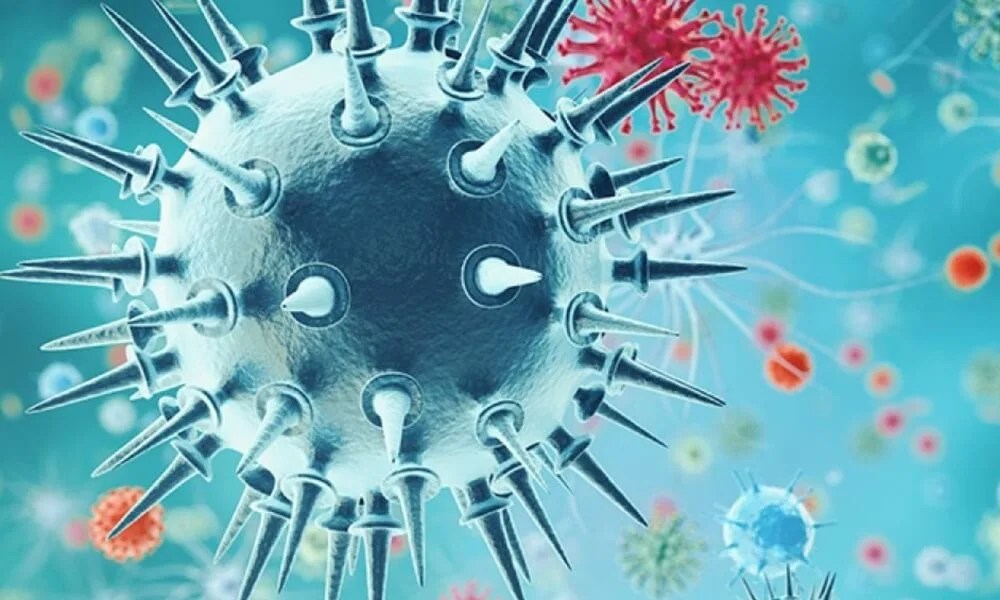 Workplace Biological Hazards Types Categories Of, 54 OFF