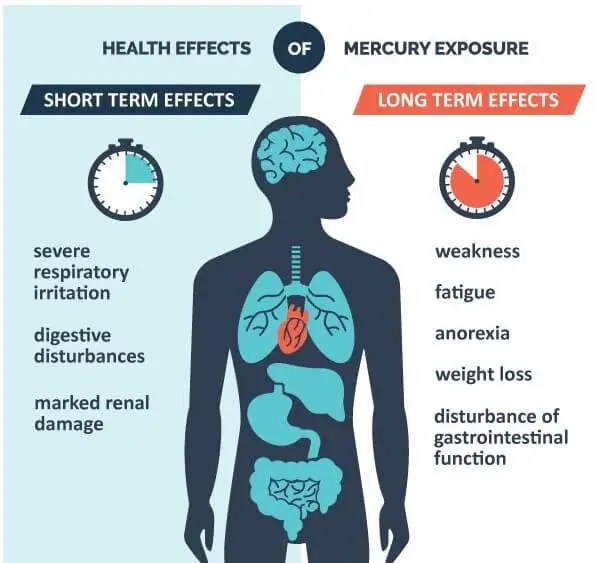 Mercury Side Effects Signs, Symptoms & Effects On The Body