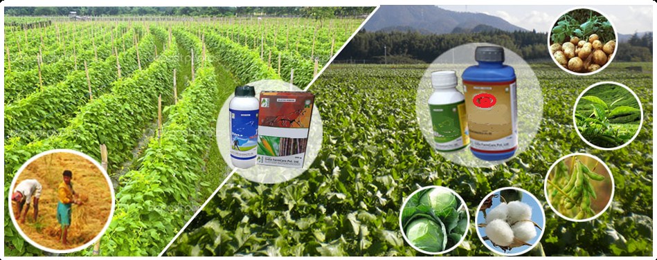 Chemical Health Safety & Environment