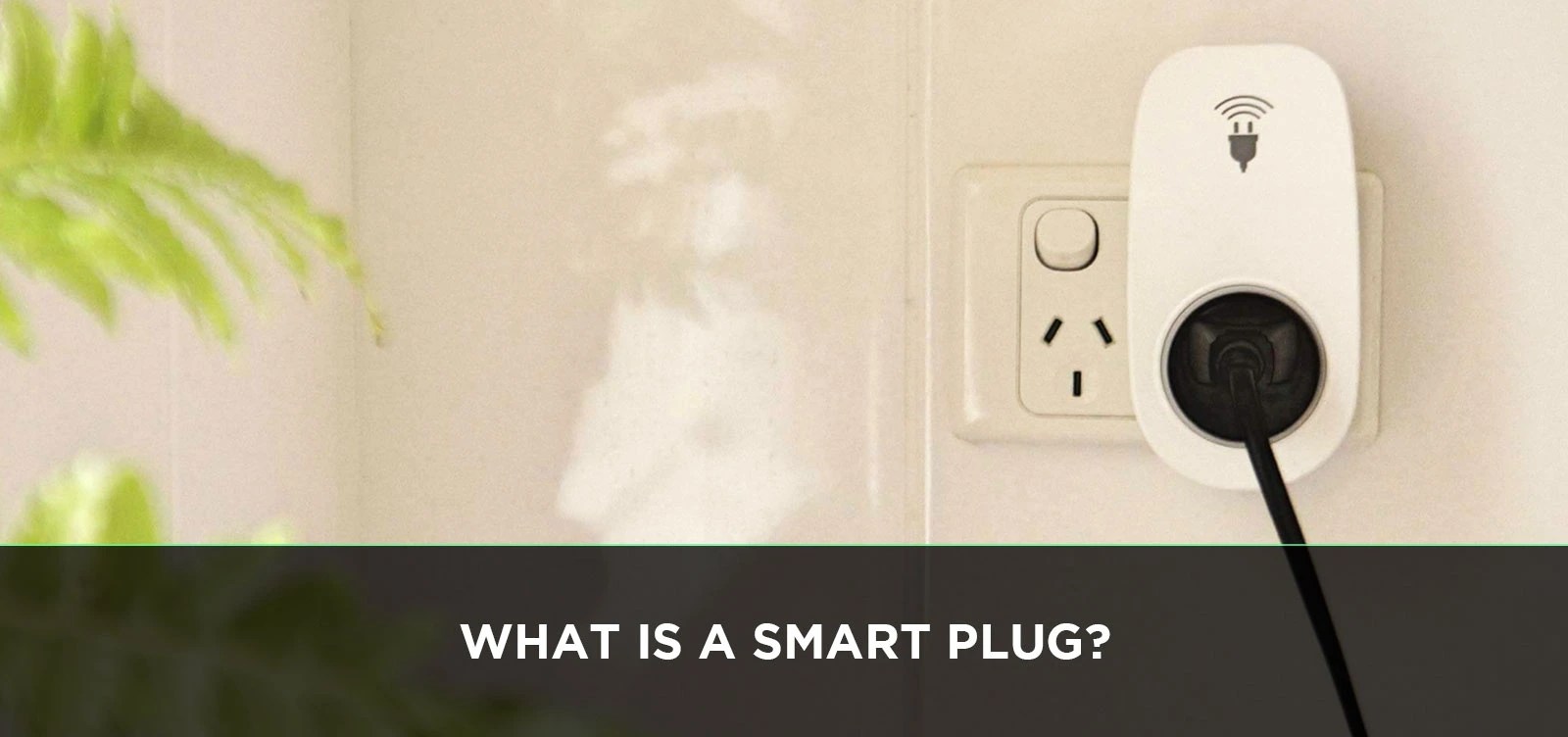 What Is a Smart Plug?