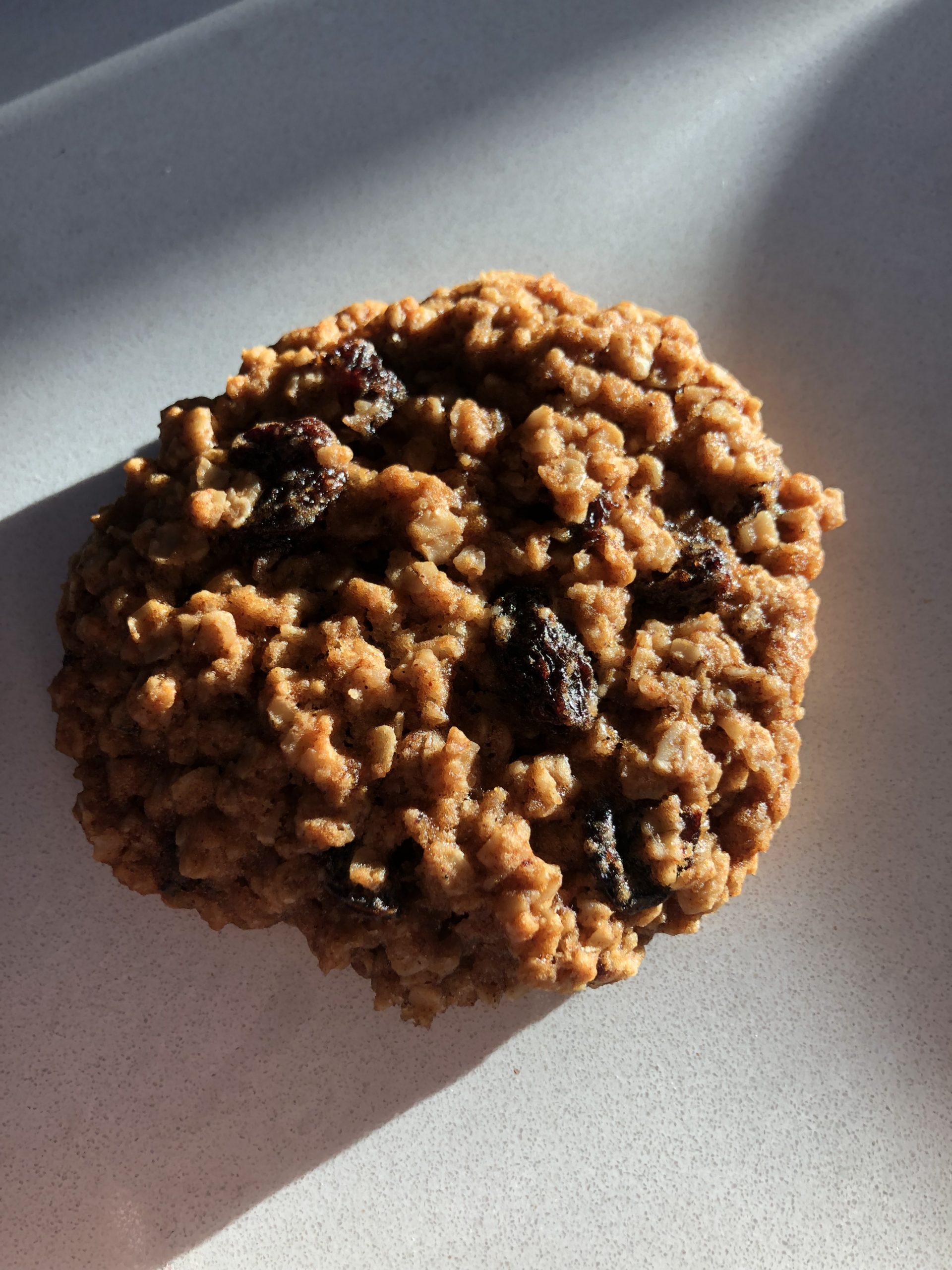Oatmeal Raisin Cookies (no eggs) Healthy Start