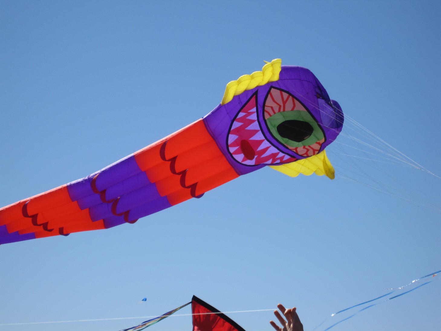 Kite design research Brad's school work