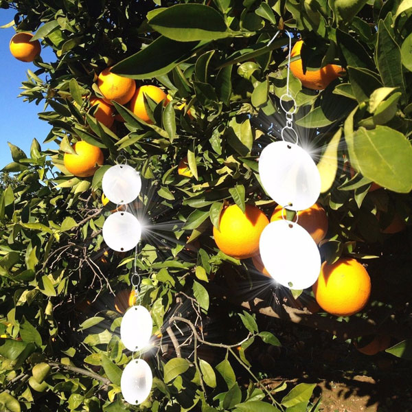 DIY Bird Repellent Reflective Discs Round China Manufacturer supplier