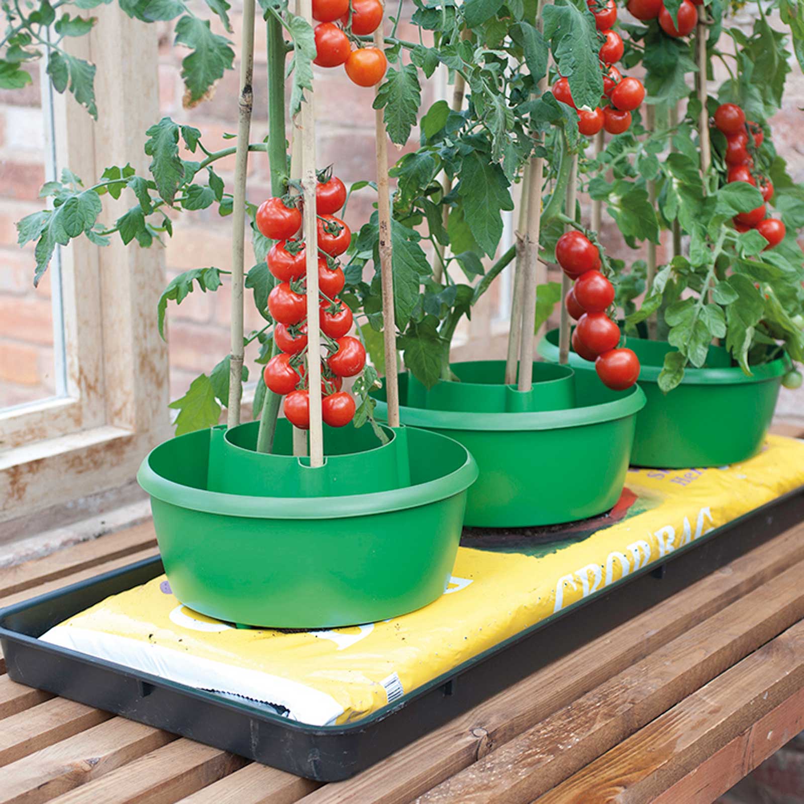Plant Halos manufacturer Tomato growpot plant watering pot China
