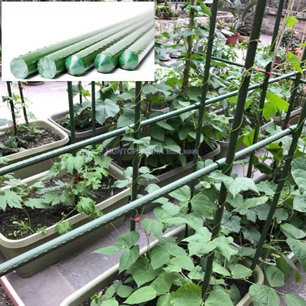 Plant Stakes Garden Climbing Plants Bracket support China Manufacturer