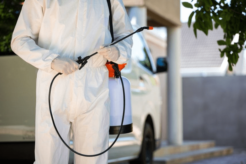 Things To Know Before Hiring A Competent Professional Pest Control