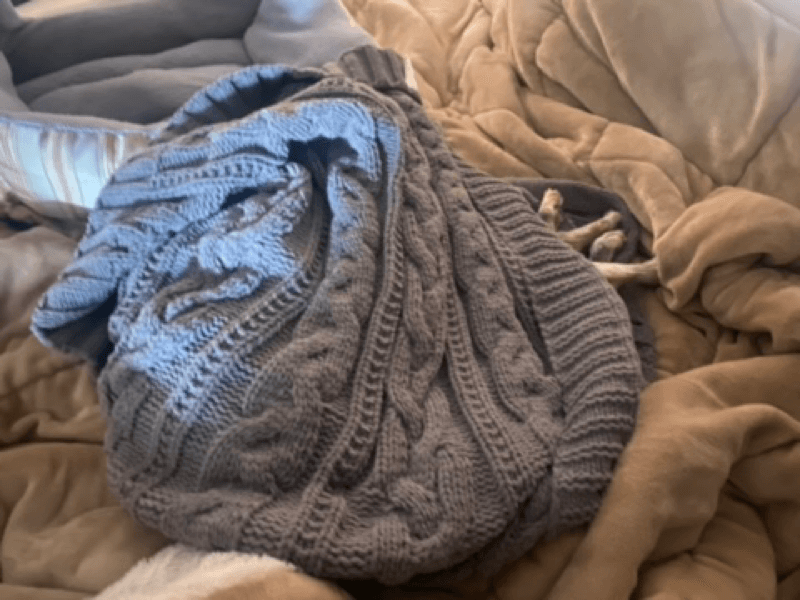 Just paws. JTOK Chatter