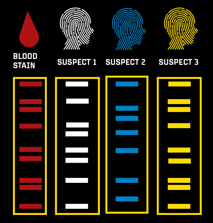 The science of crime forensics and DNA technology HudsonAlpha(03)