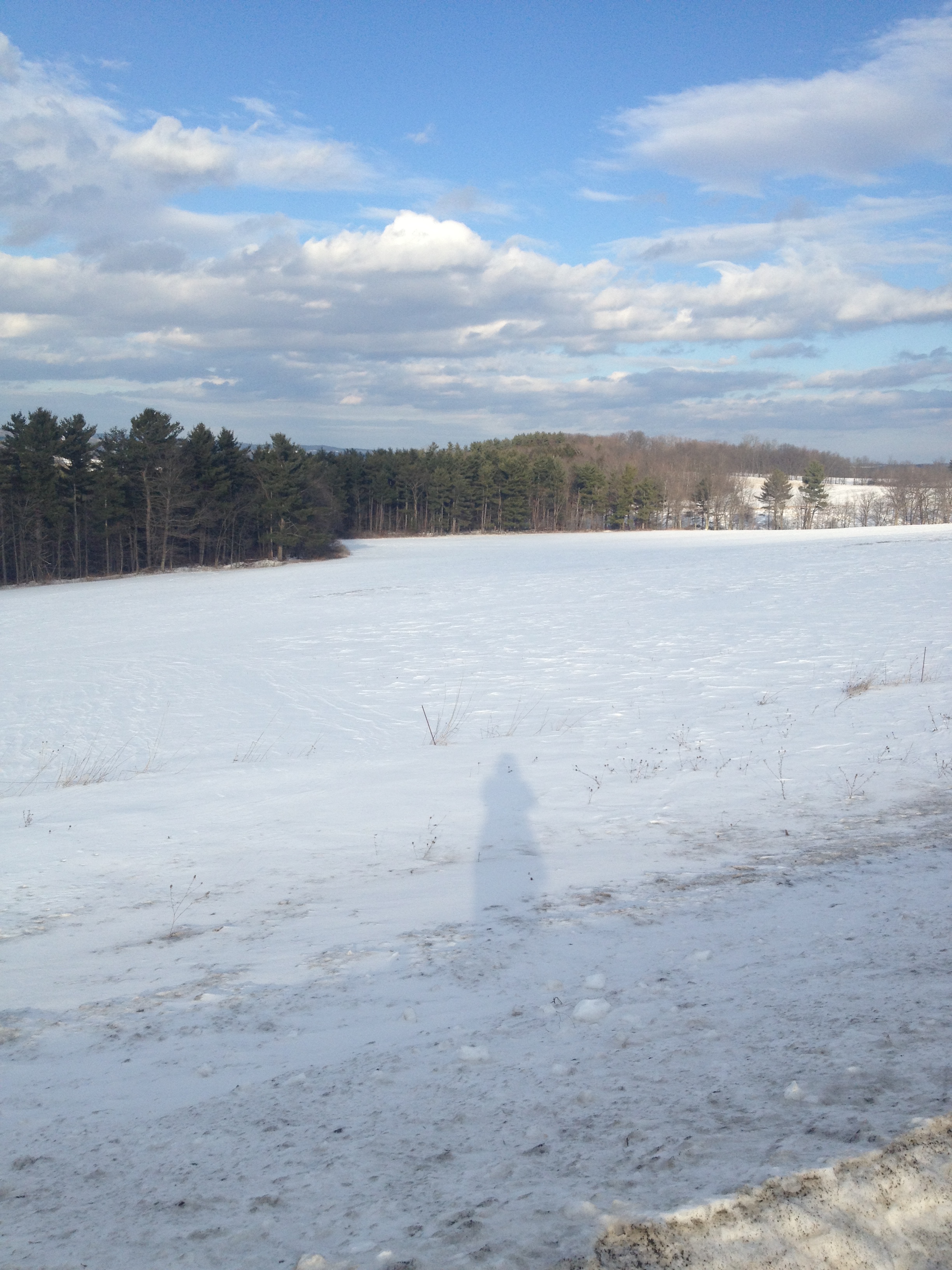 Photo Gallery HullO Farms