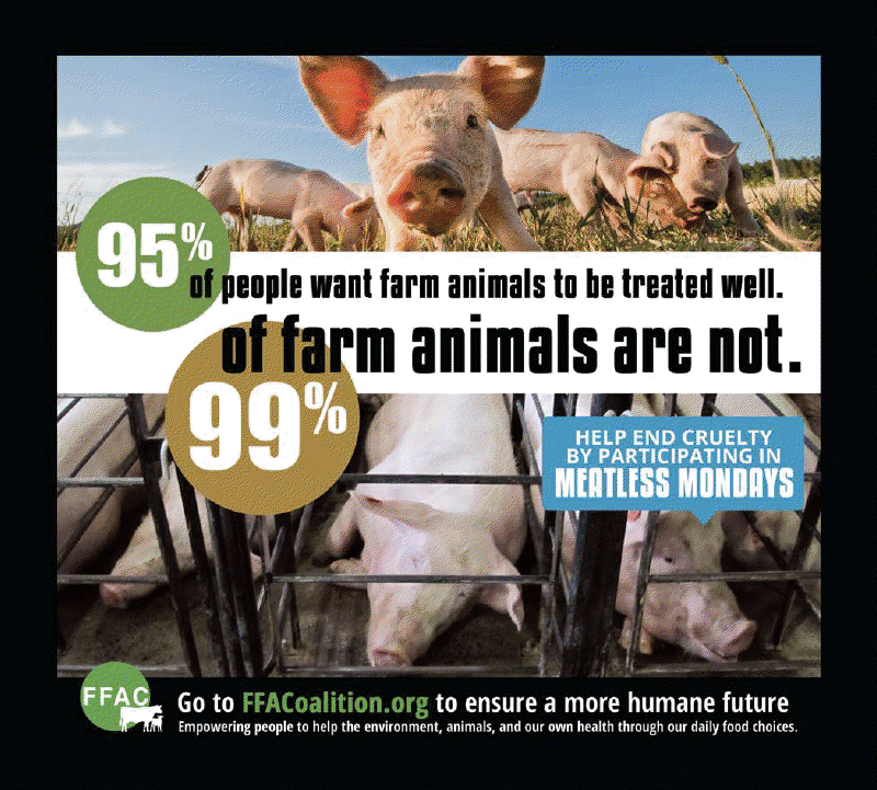 Help End Farm Animal Cruelty By Going Meat and DairyFree!
