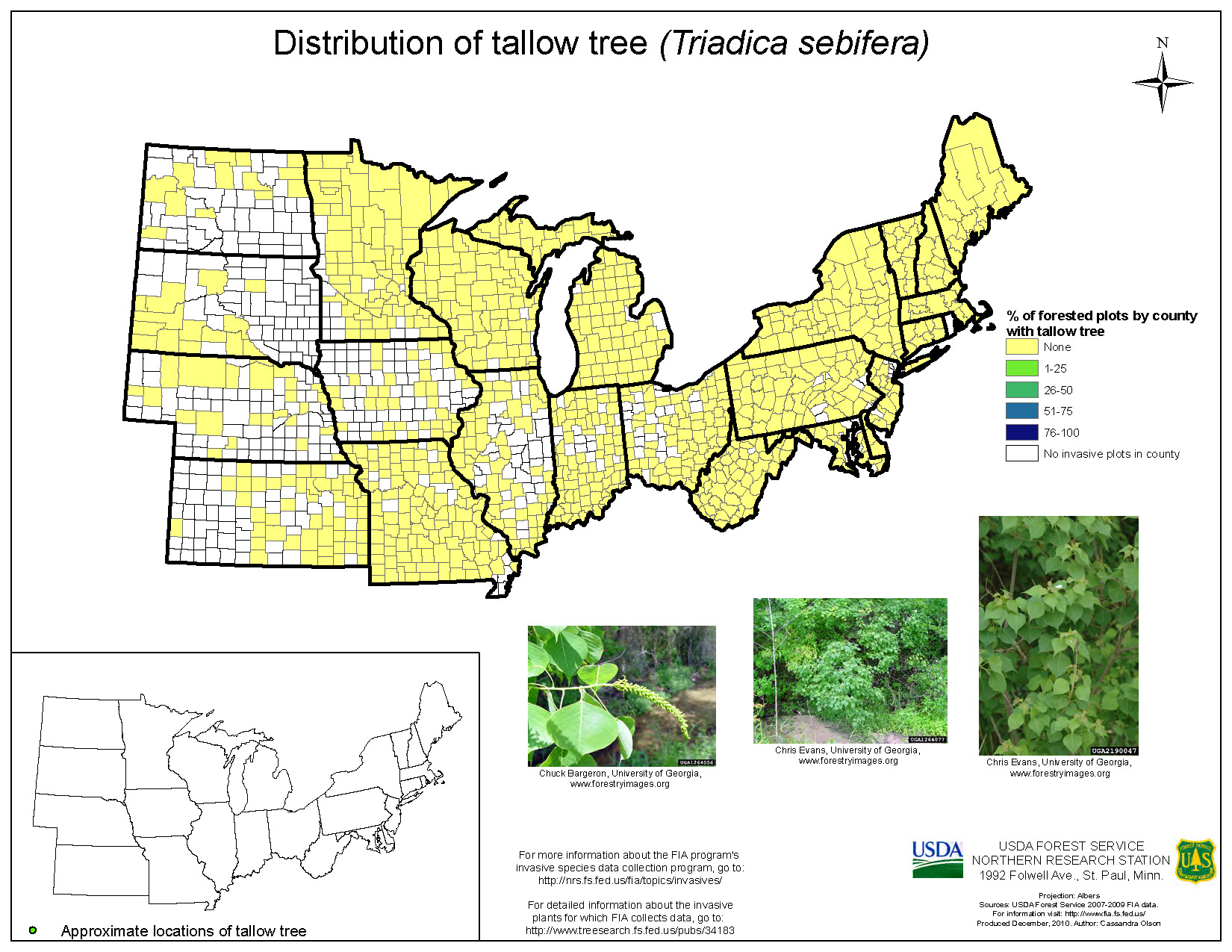 Chinese Tallow Tree Center for HumanWildlife Conflicts