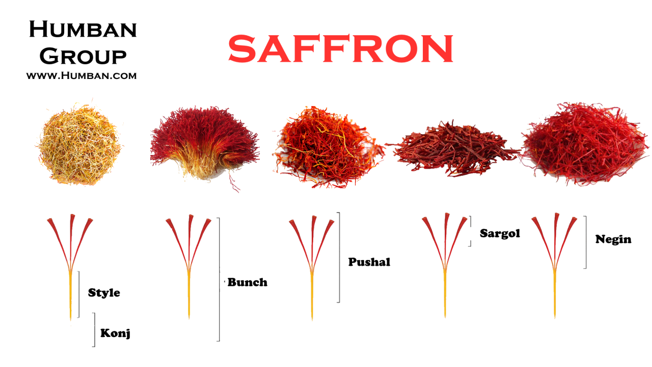 Saffron Humban